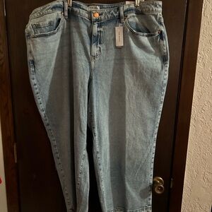 Lane Bryant Denim Wide Leg Jeans